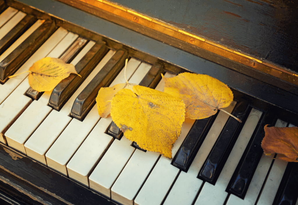 Autumnal leaves atop the keyboard of a worn piano