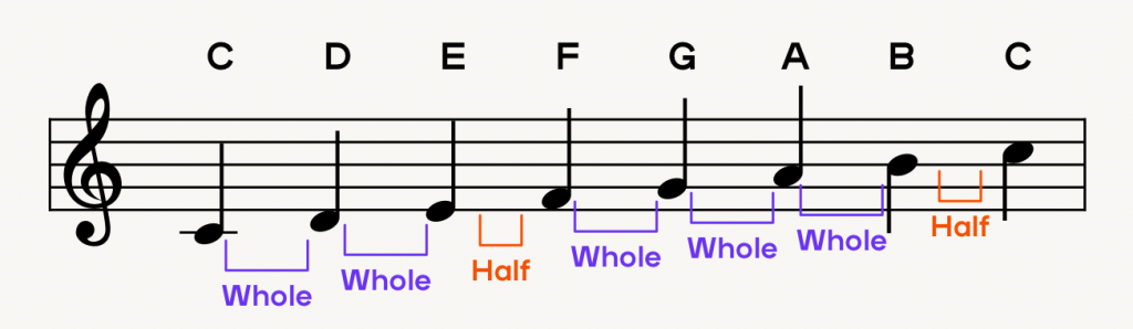 A C major scale in the treble clef with the pattern of steps between notes indicated