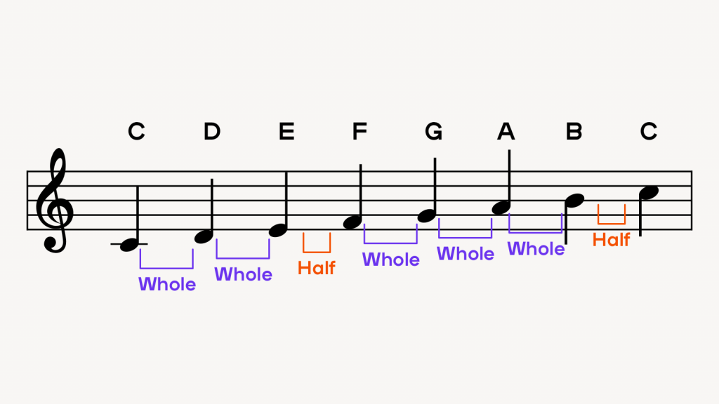 A C Major scale in the treble clef with the steps noted below the staff